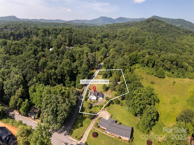 34 Lockhart Rd, Tryon, NC 28782 - aerial overview of property's location featuring a forest and property parcel outlined