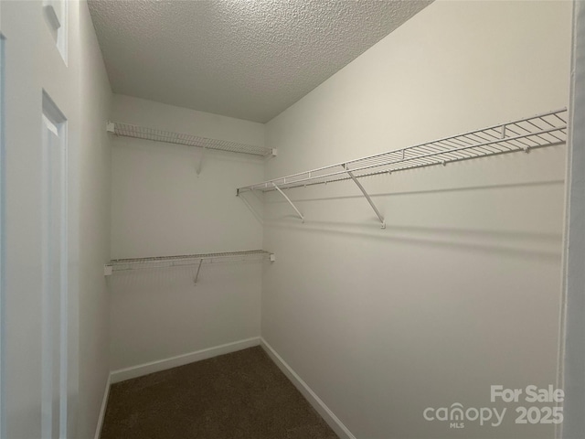 4402 Poxon Ln, Monroe, NC 28110 - spacious closet with dark carpet