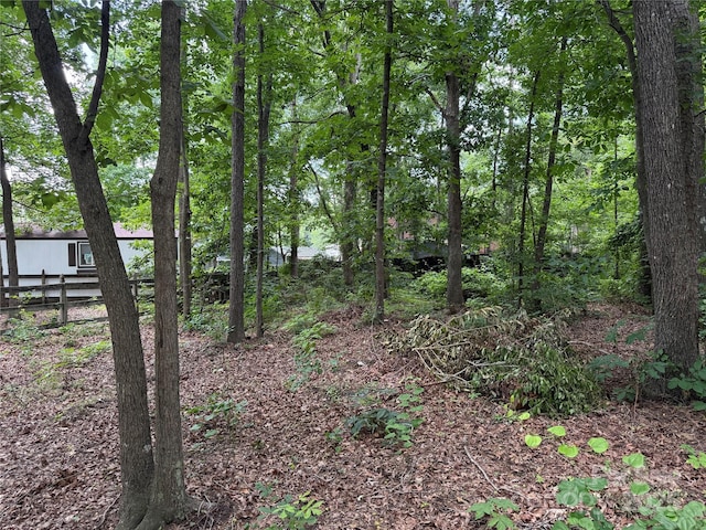 4402 Poxon Ln, Monroe, NC 28110 - view of wooded area