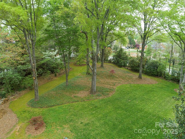 8624 Sardis Rd, Charlotte, NC 28270 - photo 12