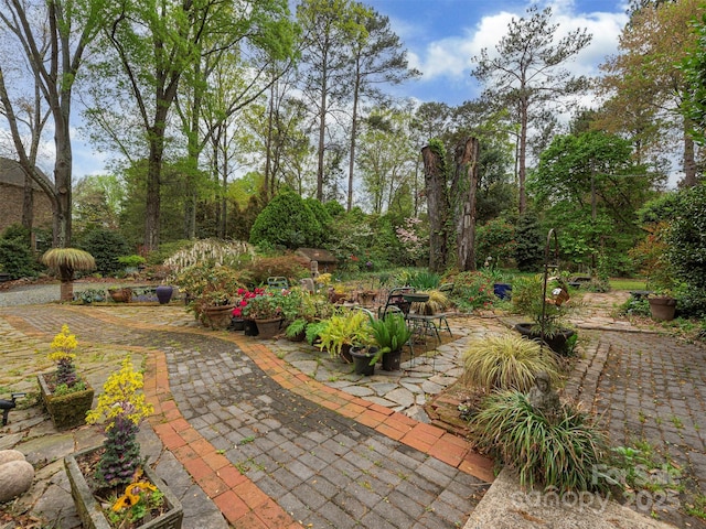 8624 Sardis Rd, Charlotte, NC 28270 - photo 16