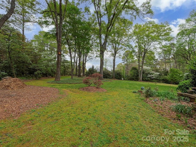 8624 Sardis Rd, Charlotte, NC 28270 - photo 18