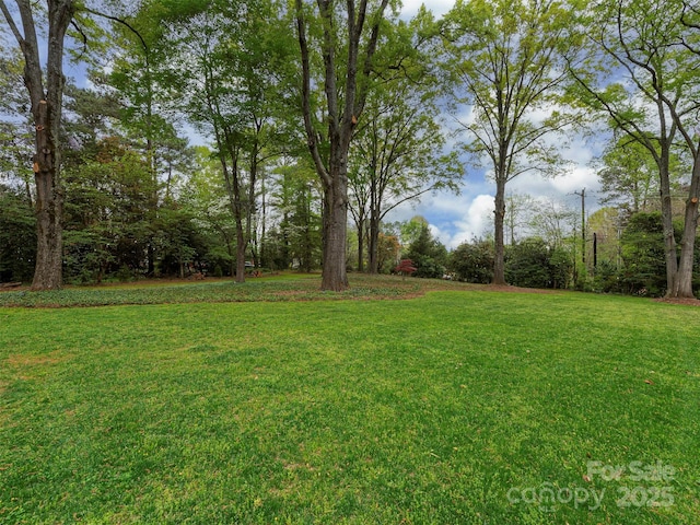 8624 Sardis Rd, Charlotte, NC 28270 - photo 19