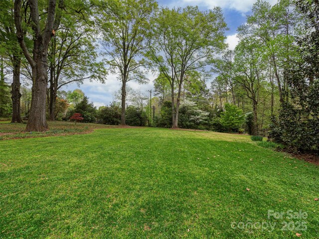 8624 Sardis Rd, Charlotte, NC 28270 - photo 22