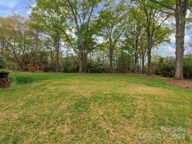 8624 Sardis Rd, Charlotte, NC 28270 - photo 23
