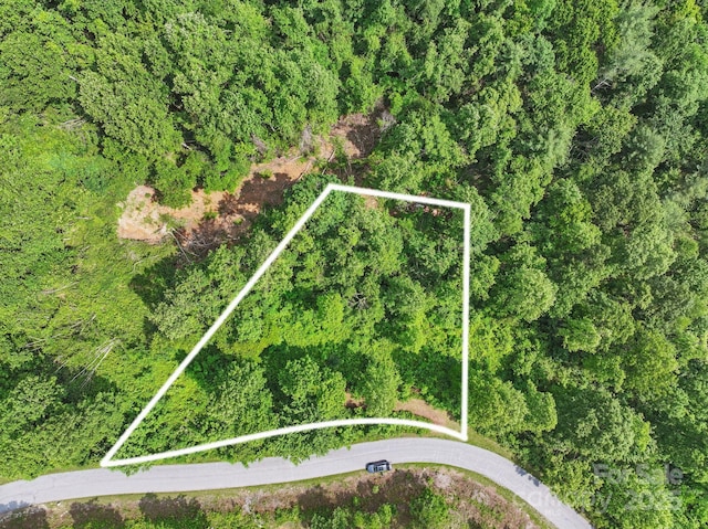 000 Silverglen Way Unit 75, Hendersonville, NC 28792