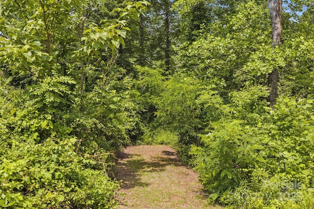 000 Silverglen Way Unit 75, Hendersonville, NC 28792