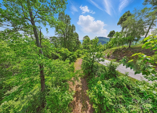 000 Silverglen Way Unit 75, Hendersonville, NC 28792