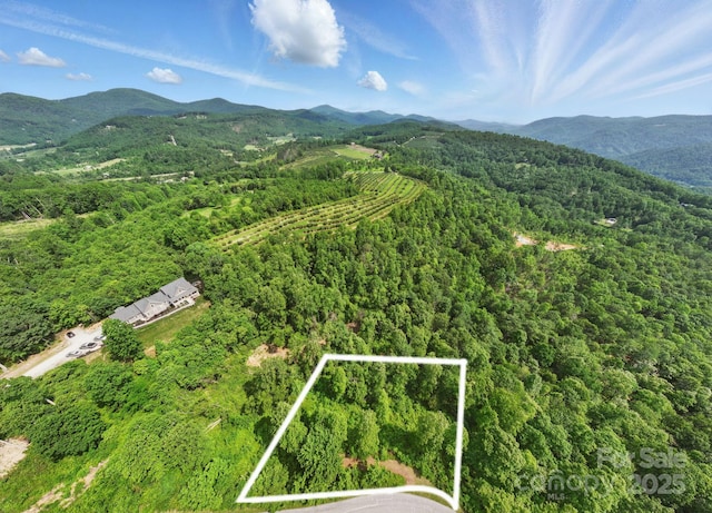 000 Silverglen Way Unit 75, Hendersonville, NC 28792