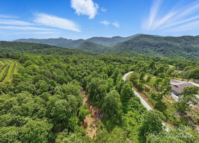 000 Silverglen Way Unit 75, Hendersonville, NC 28792