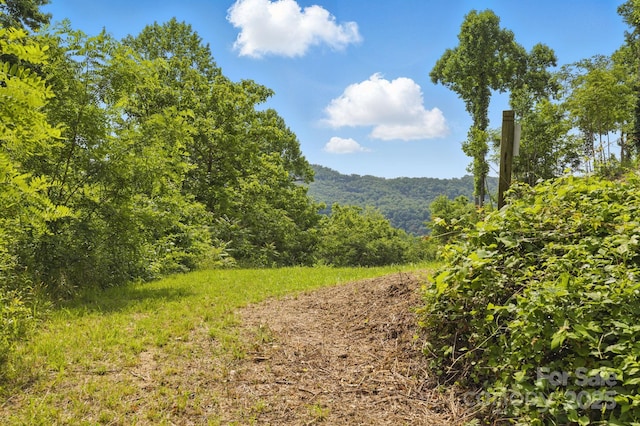 000 Silverglen Way Unit 75, Hendersonville, NC 28792
