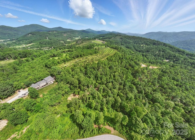000 Silverglen Way Unit 75, Hendersonville, NC 28792