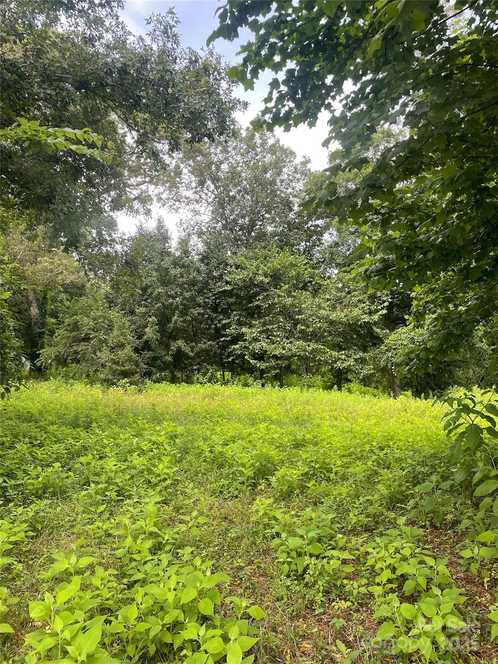 540 Eagle Mills Rd, Hamptonville, NC 27020