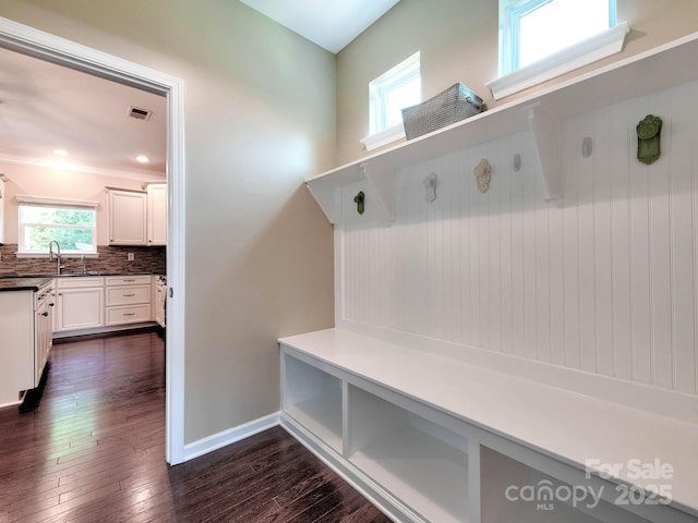 5797 Mcclintock Dr, Denver, NC 28037 - mudroom featuring dark wood-style flooring and a sink