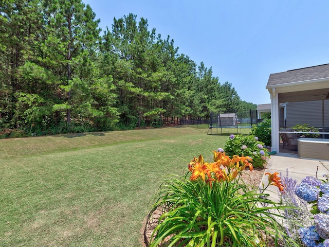 5797 Mcclintock Dr, Denver, NC 28037 - view of yard with a trampoline
