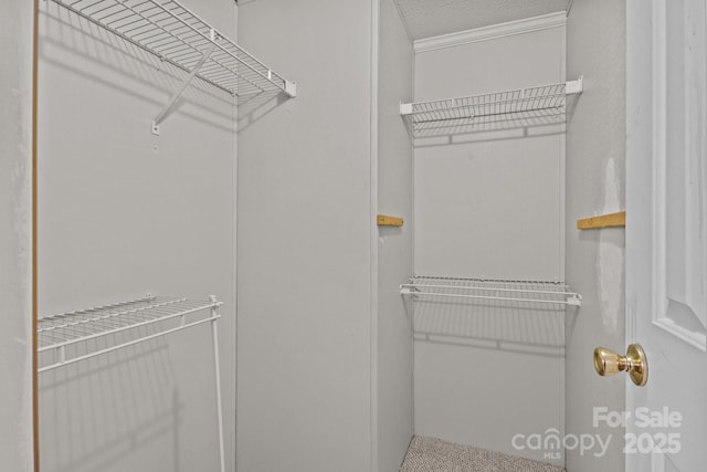 200 Southwood Park Rd, Mooresville, NC 28117 - view of walk in closet