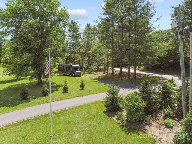 971 Banks Creek Rd, Burnsville, NC 28714 - photo 36