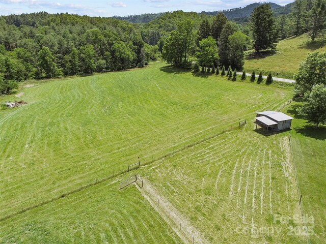 971 Banks Creek Rd, Burnsville, NC 28714 - photo 44