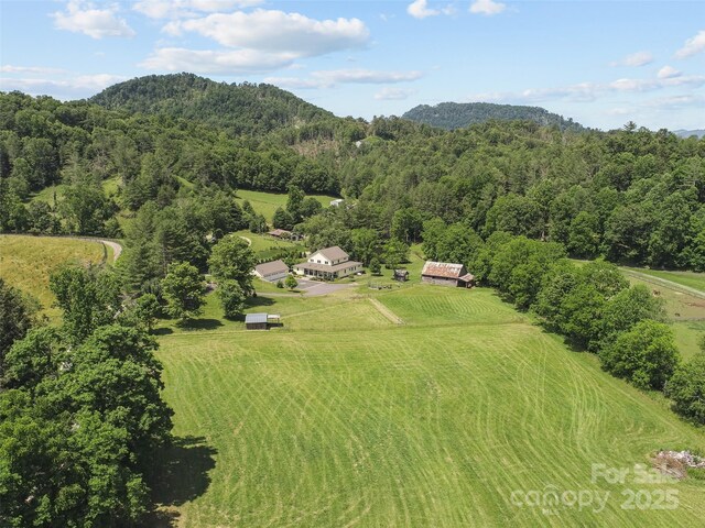 971 Banks Creek Rd, Burnsville, NC 28714 - photo 45