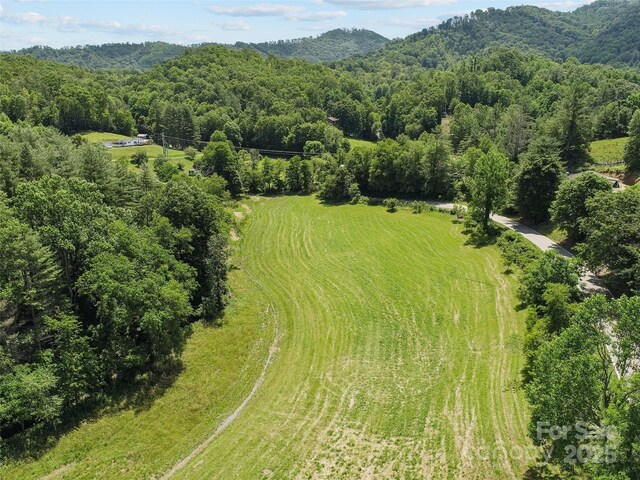 971 Banks Creek Rd, Burnsville, NC 28714 - photo 46