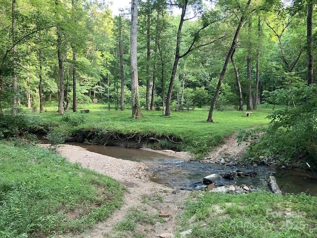 5425 Creek Run Ct, Kings Mountain, NC 28086 - view of woods