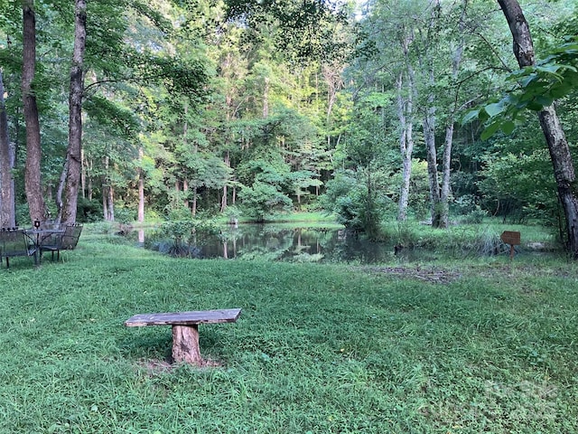 5425 Creek Run Ct, Kings Mountain, NC 28086 - view of yard featuring a wooded view
