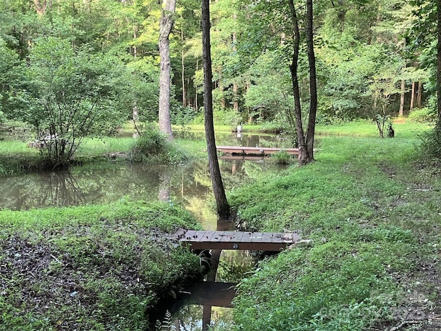 5425 Creek Run Ct, Kings Mountain, NC 28086 - view of community with a view of trees and a water view