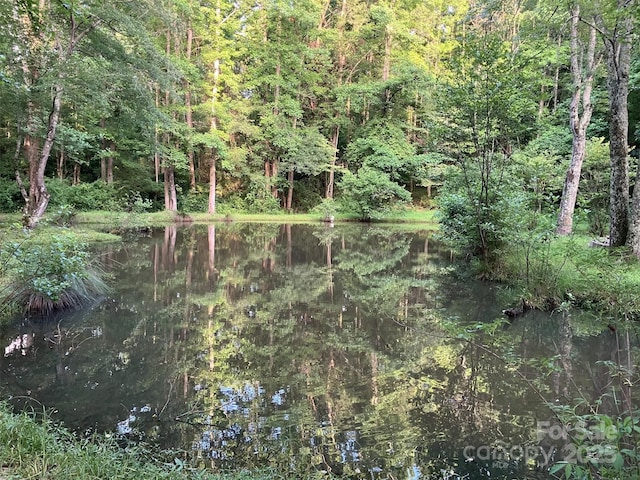 5425 Creek Run Ct, Kings Mountain, NC 28086 - view of wooded area