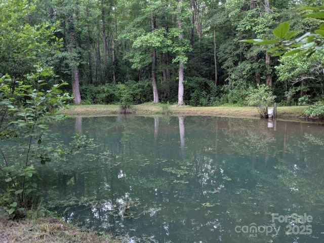 5425 Creek Run Ct, Kings Mountain, NC 28086 - water view featuring a forest
