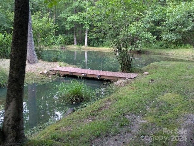5425 Creek Run Ct, Kings Mountain, NC 28086 - dock area featuring a view of trees and a water view