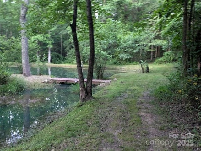 5425 Creek Run Ct, Kings Mountain, NC 28086 - view of yard with a view of trees