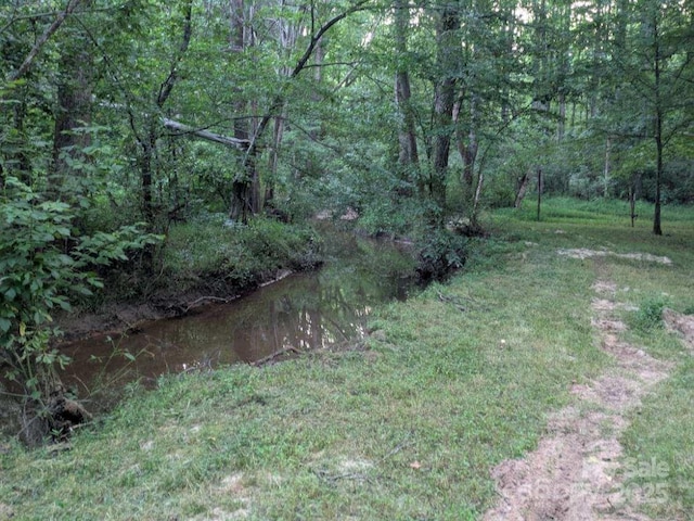 5425 Creek Run Ct, Kings Mountain, NC 28086 - view of yard with a wooded view