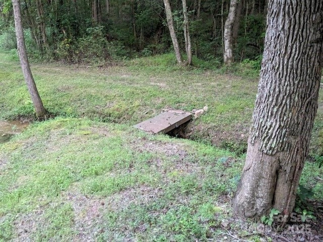 5425 Creek Run Ct, Kings Mountain, NC 28086 - view of yard with a view of trees