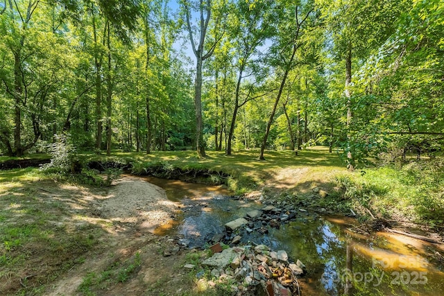 5425 Creek Run Ct, Kings Mountain, NC 28086 - view of local wilderness