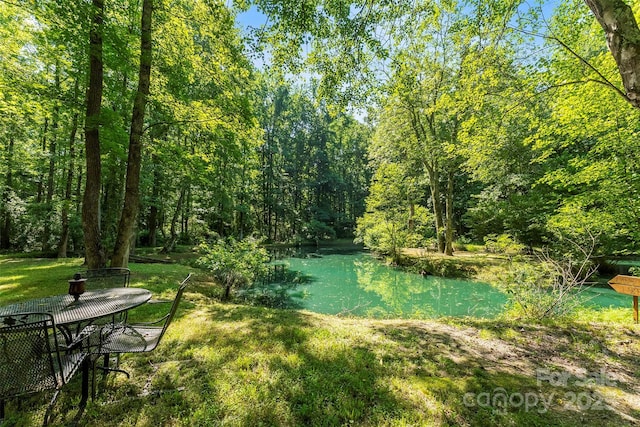 5425 Creek Run Ct, Kings Mountain, NC 28086 - view of grassy yard with a forest view and a water view