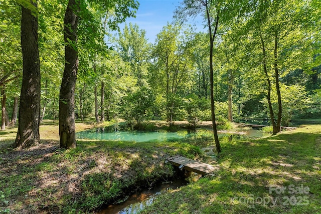 5425 Creek Run Ct, Kings Mountain, NC 28086 - view of yard
