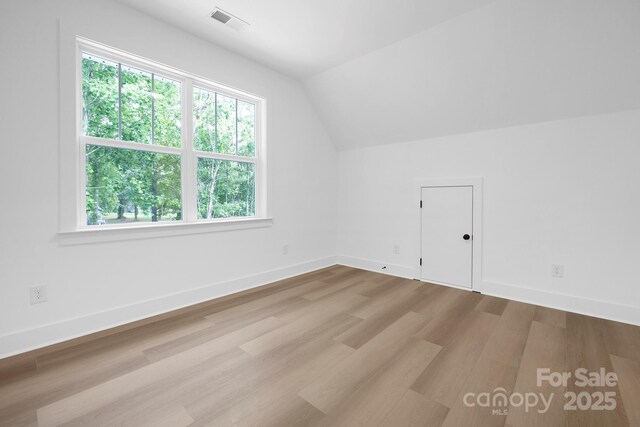 4032 Brandy Creek Ct, Clover, SC 29710 - additional living space featuring plenty of natural light, wood finished floors, and vaulted ceiling