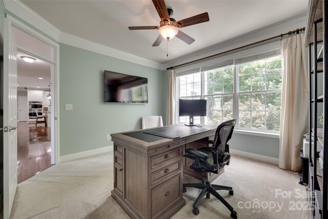 1241 Brough Hall Dr, Waxhaw, NC 28173 - photo 5