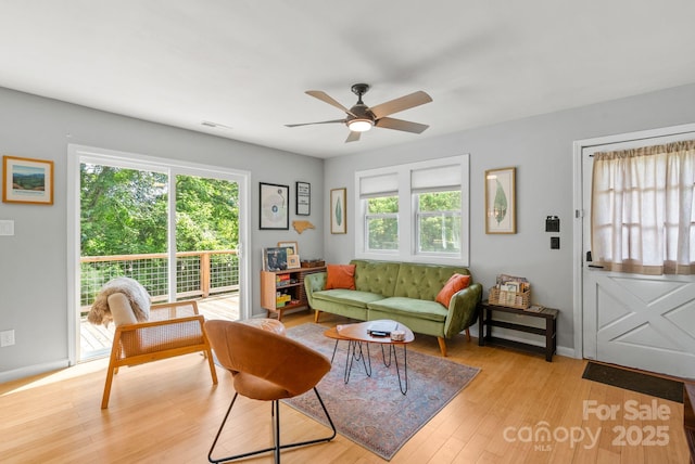 529 Bailey Rd, Asheville, NC 28806 - photo 5