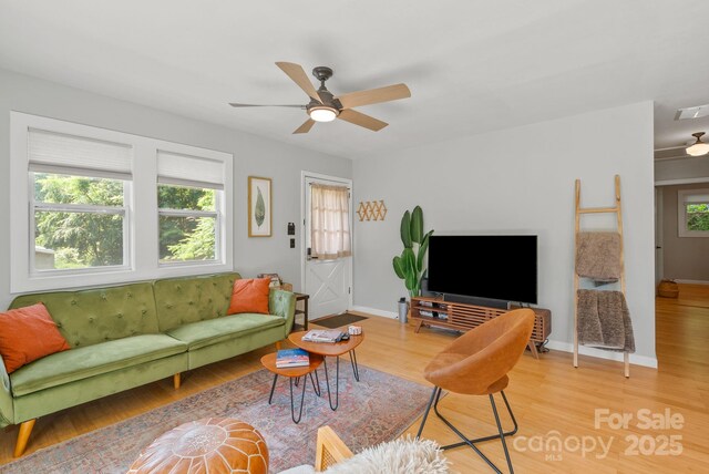 529 Bailey Rd, Asheville, NC 28806 - photo 7