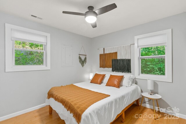 529 Bailey Rd, Asheville, NC 28806 - photo 14
