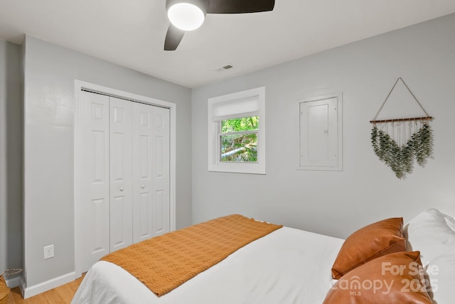 529 Bailey Rd, Asheville, NC 28806 - photo 15