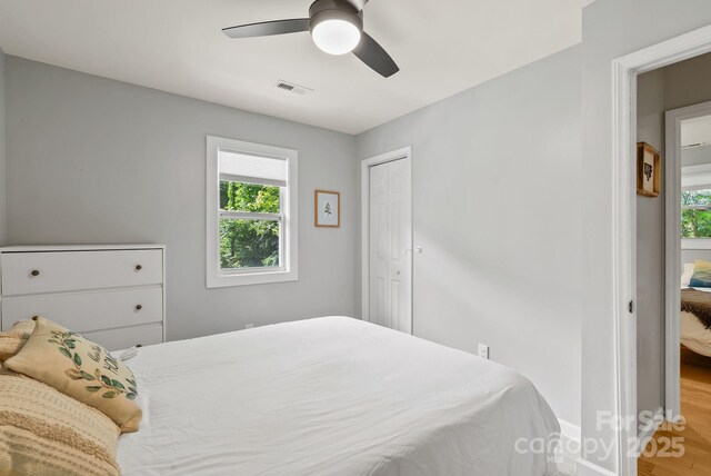 529 Bailey Rd, Asheville, NC 28806 - photo 21