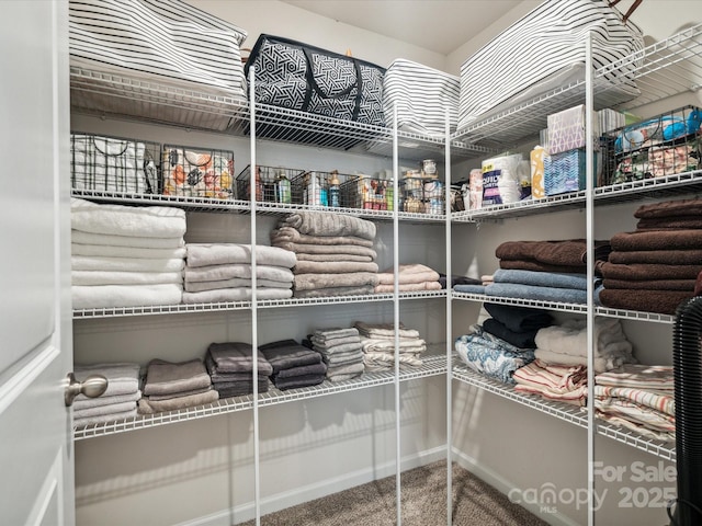 1008 Millbridge Pkwy, Waxhaw, NC 28173 - view of storage area