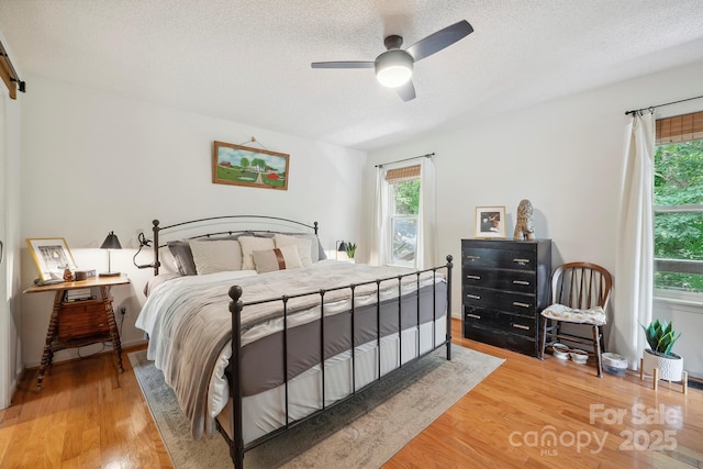 3381 Stones Throw Dr, Valdese, NC 28690 - bedroom with multiple windows, light wood-style flooring, a textured ceiling, and ceiling fan