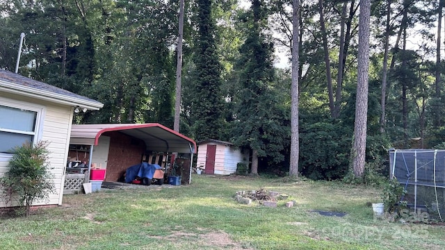 1010 Sprucewood St, Kannapolis, NC 28081 - view of grassy yard featuring a storage unit, a detached carport, and a view of trees