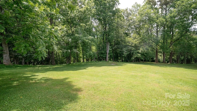 4879 Denton Chapel Rd, Morganton, NC 28655 - view of green lawn with a wooded view