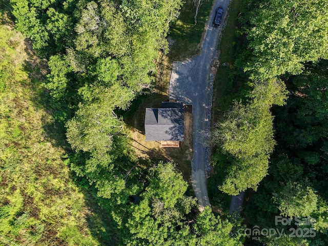 53 Acorn Ln, Waynesville, NC 28785 - photo 32