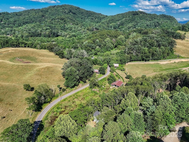 53 Acorn Ln, Waynesville, NC 28785 - photo 34