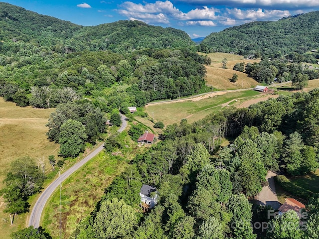 53 Acorn Ln, Waynesville, NC 28785 - photo 35
